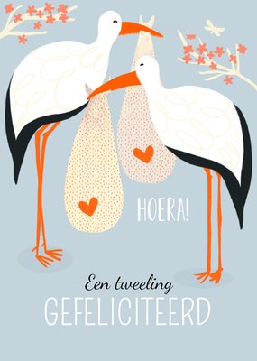 Greetz | Geboortekaart | ooievaar | tweeling