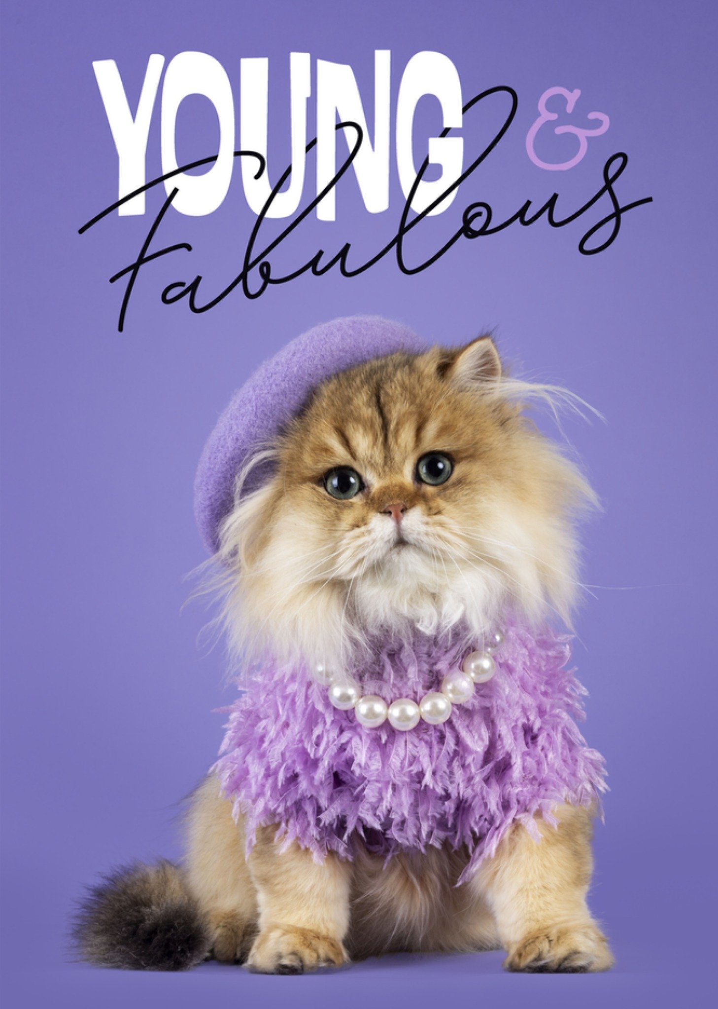 Moederdagkaart kat paars Catchy Images