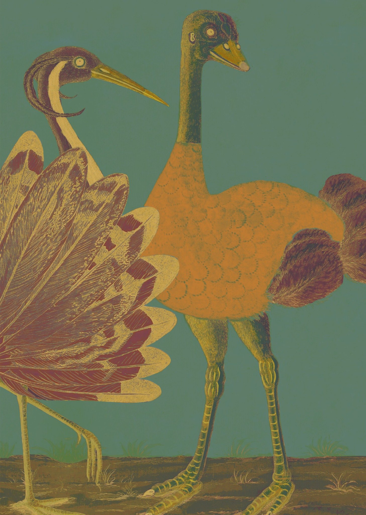 Huwelijkskaart Dieren Kaart NIN-NIT