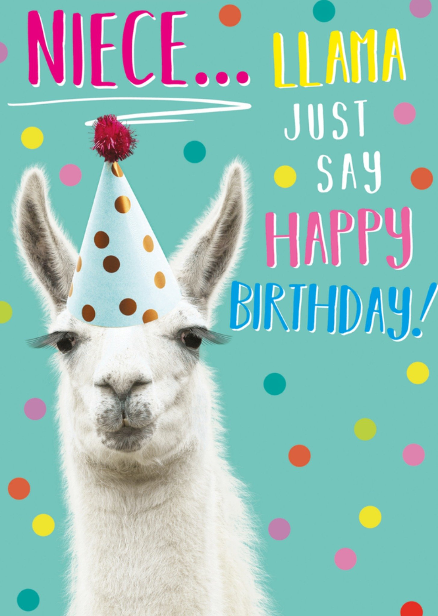 Abacus Verjaardagskaart nicht lama Kaart Abacus Cards