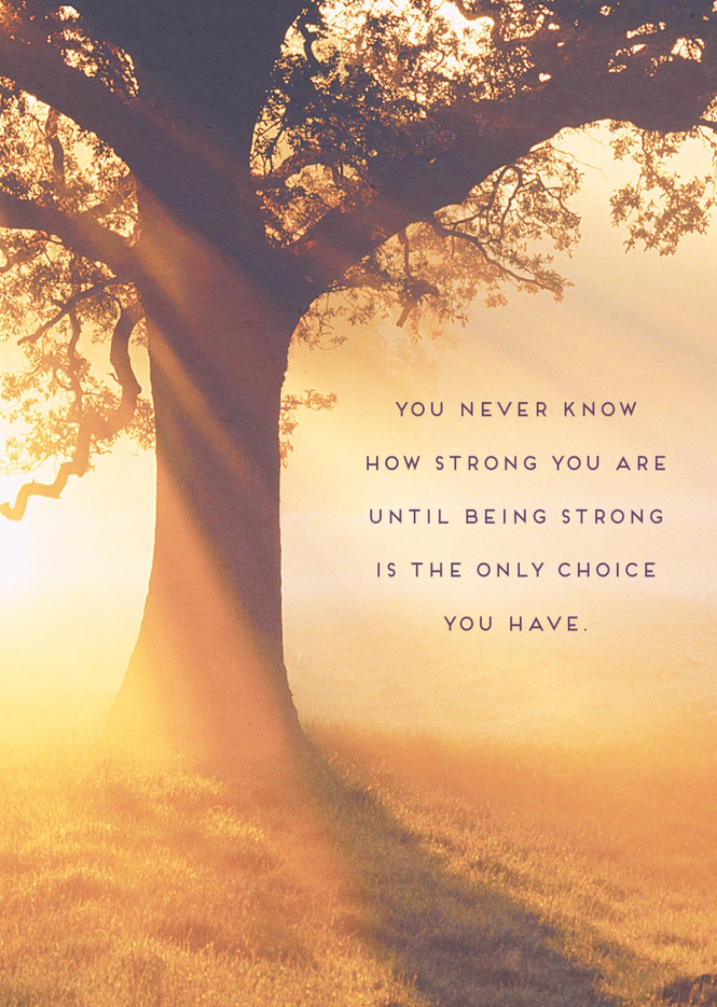 Denken aan kaart boom Kaart Pigment