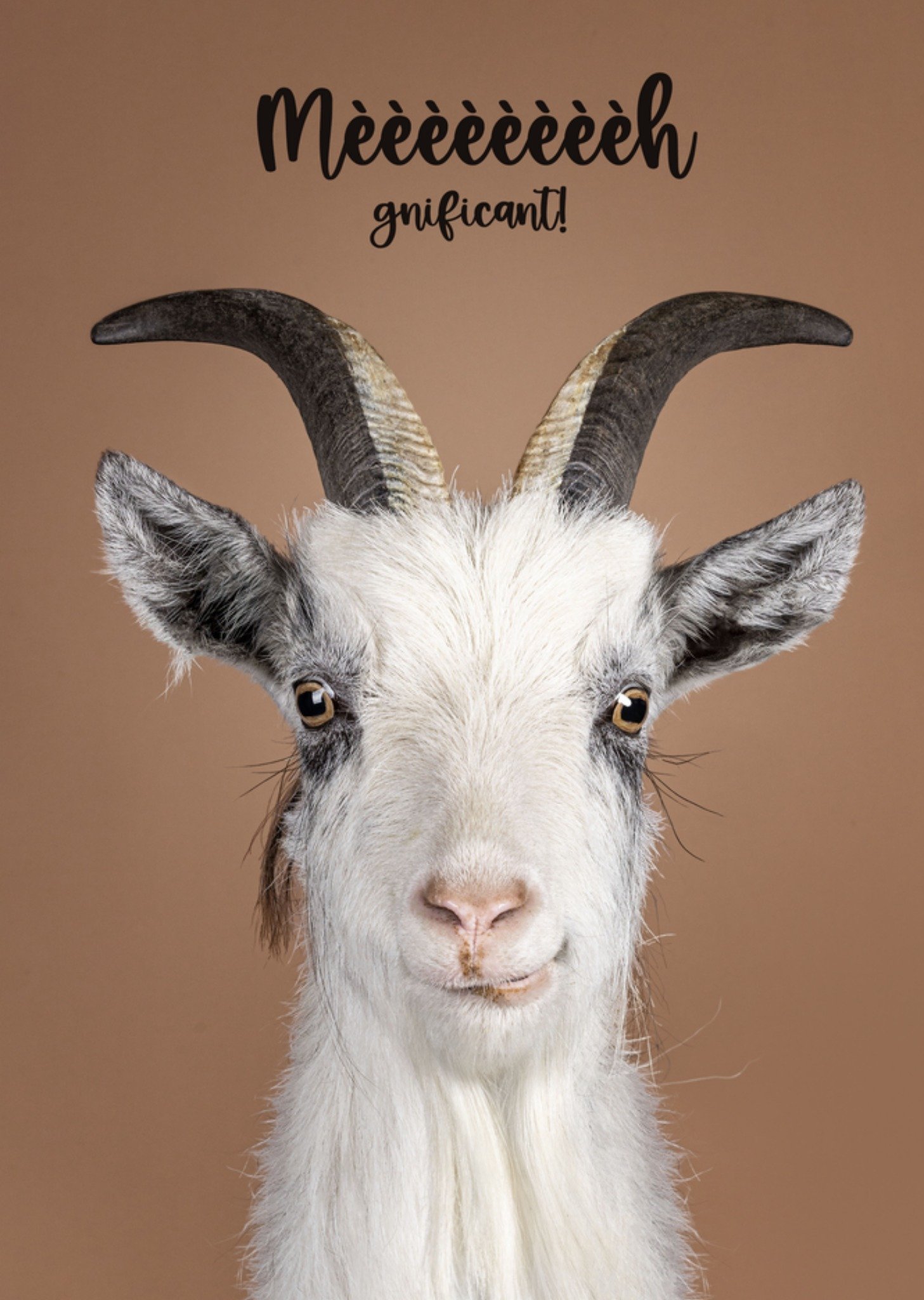 Felicitatiekaart Geit Kaart Catchy Images