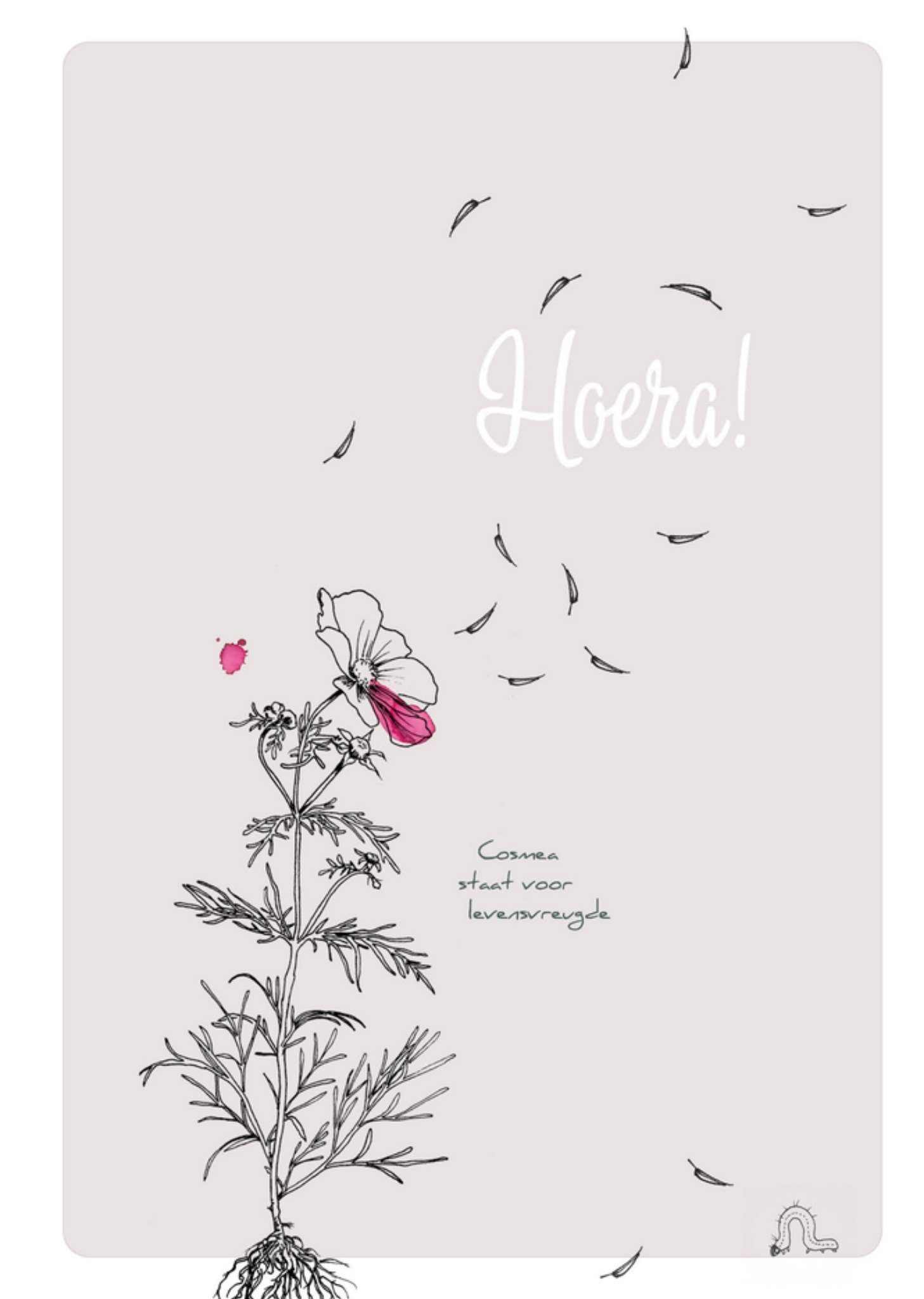 Veer Moon Verjaardagskaart Cosmea voor levensvreugde Standard Card
