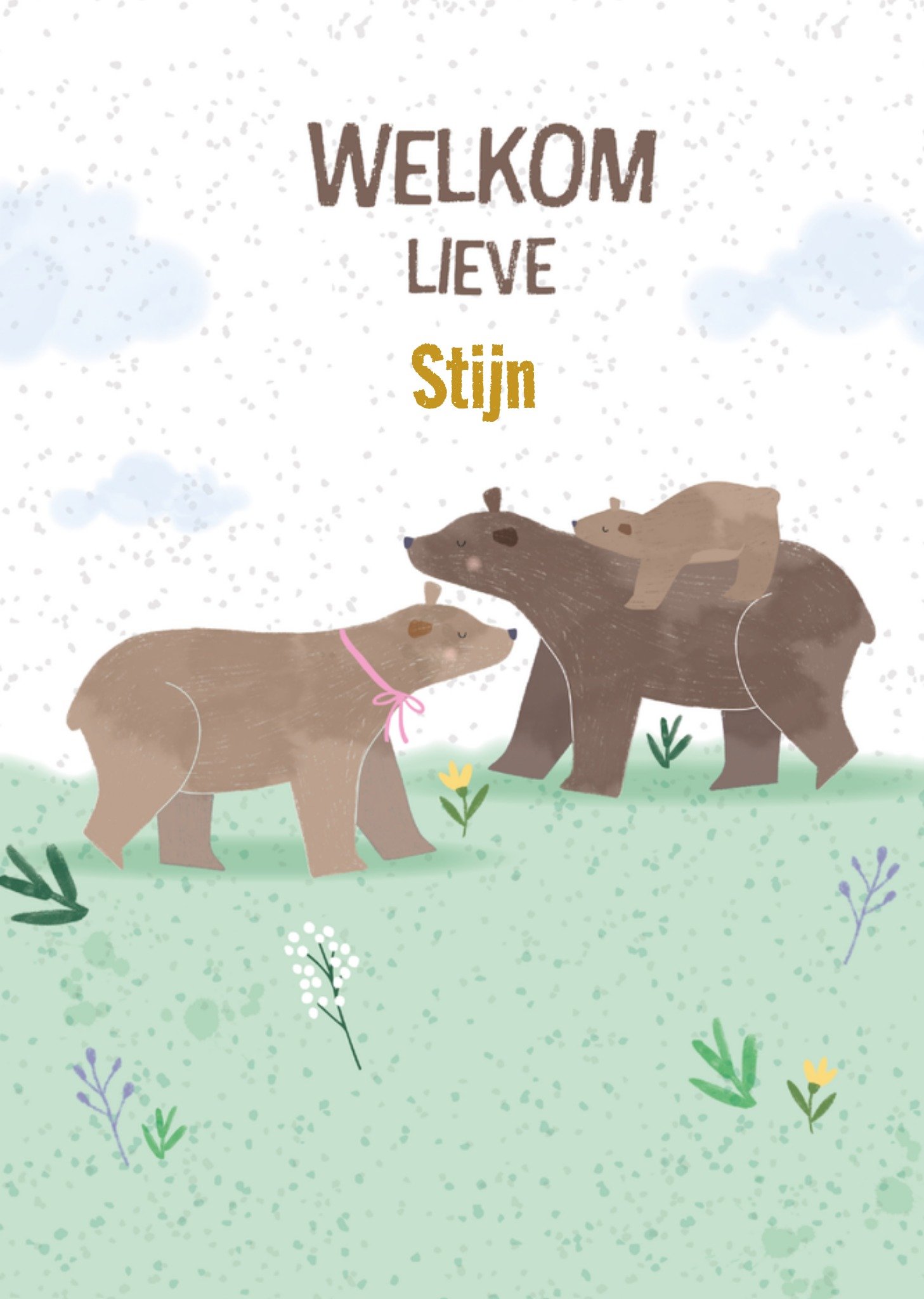 Geboortekaart Jongen Beren Kaart TMS