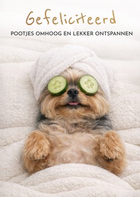 Pootjes Omhoog En Lekker Ontspannen Grappige Spa Hond Verjaardagskaart