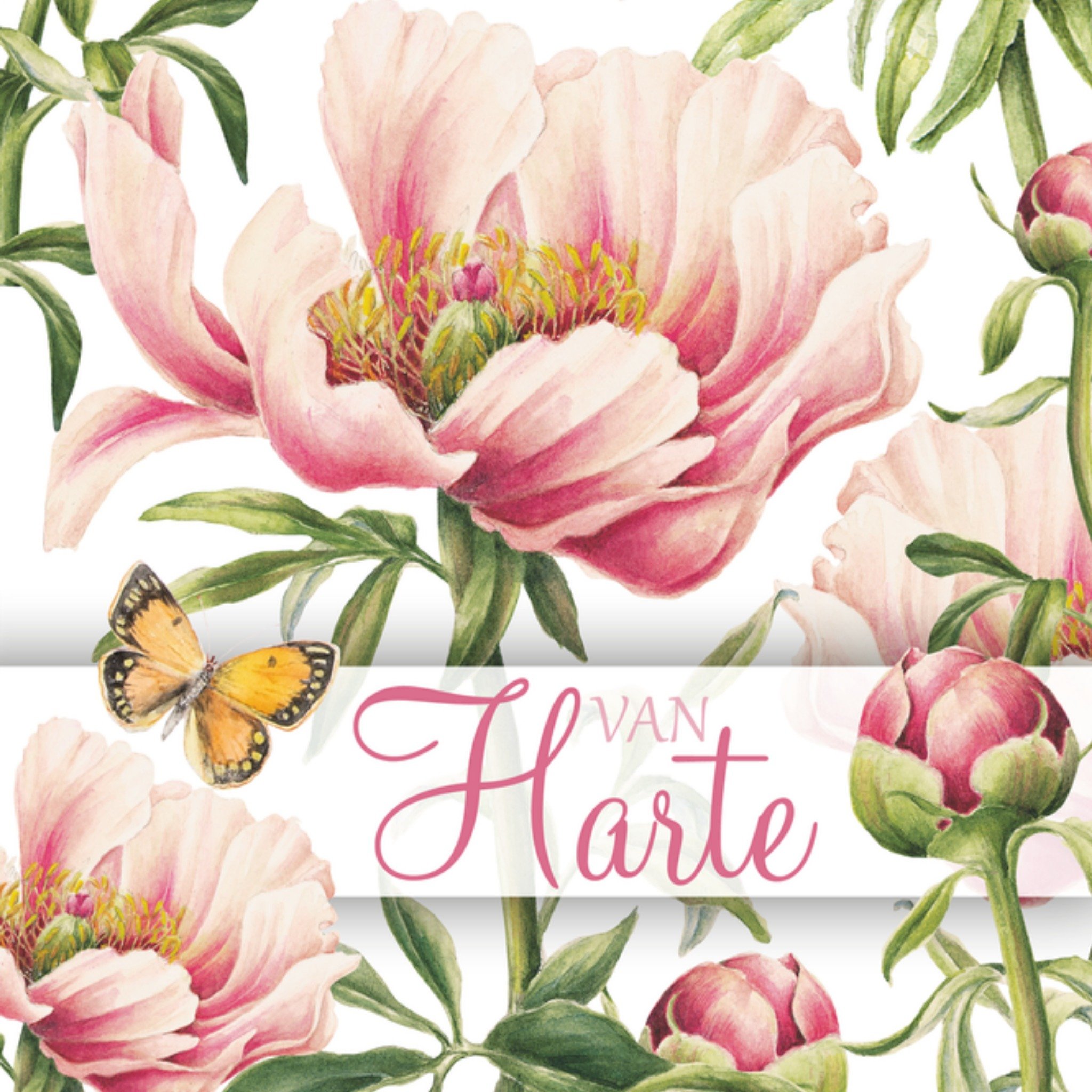 Verjaardagskaart Van harte Vierkante Kaart Janneke Brinkman