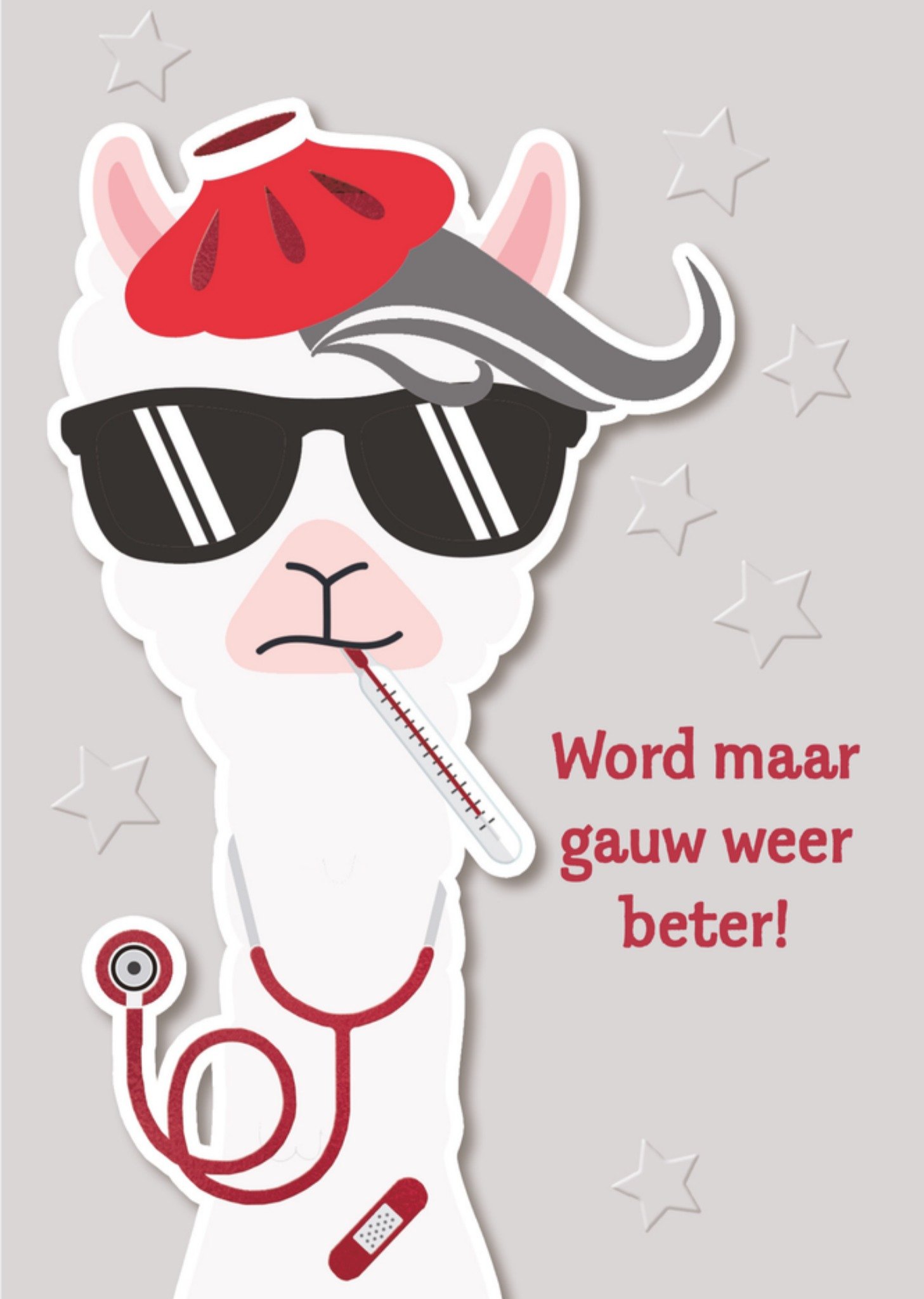 Beterschapskaart Alpaca Kaart TMS