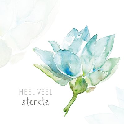 Michelle Dujardin | Sterkte kaart | Bloem