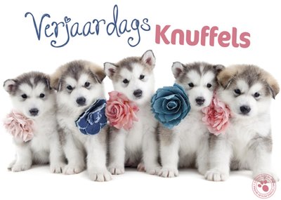 Verjaardagskaart met puppy's