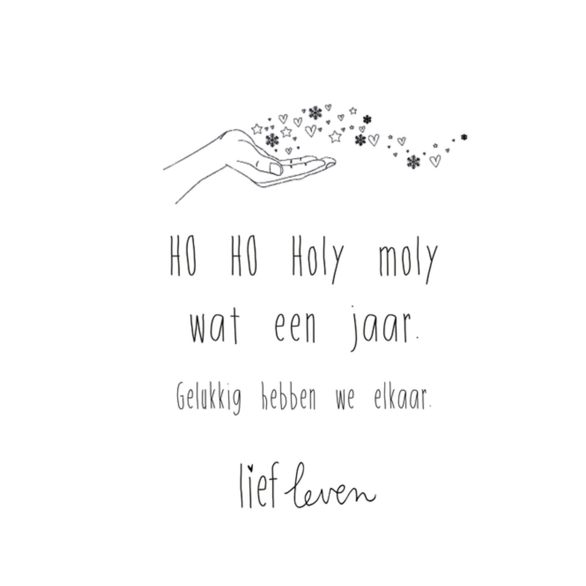Lief Leven Kerstkaart Ho Ho Holy Moly Vierkant