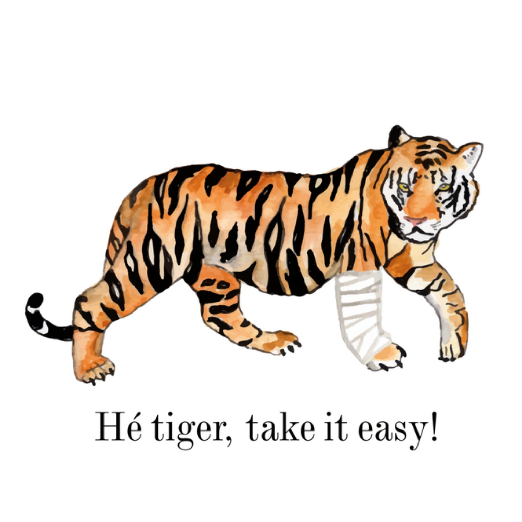 Greetz Beterschapskaart tijger Vierkant