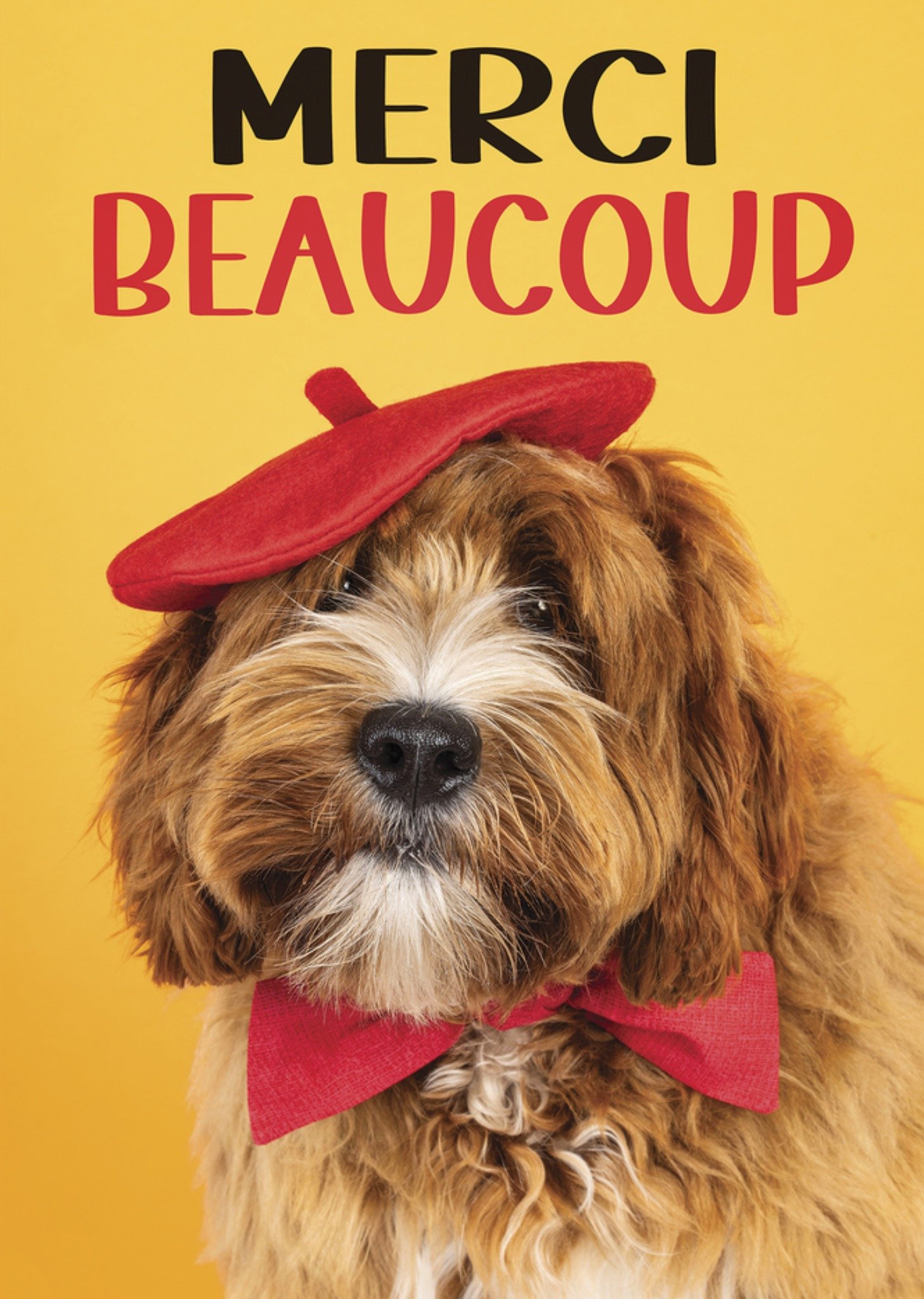 Bedanktkaart Merci beaucoup Kaart Catchy Images