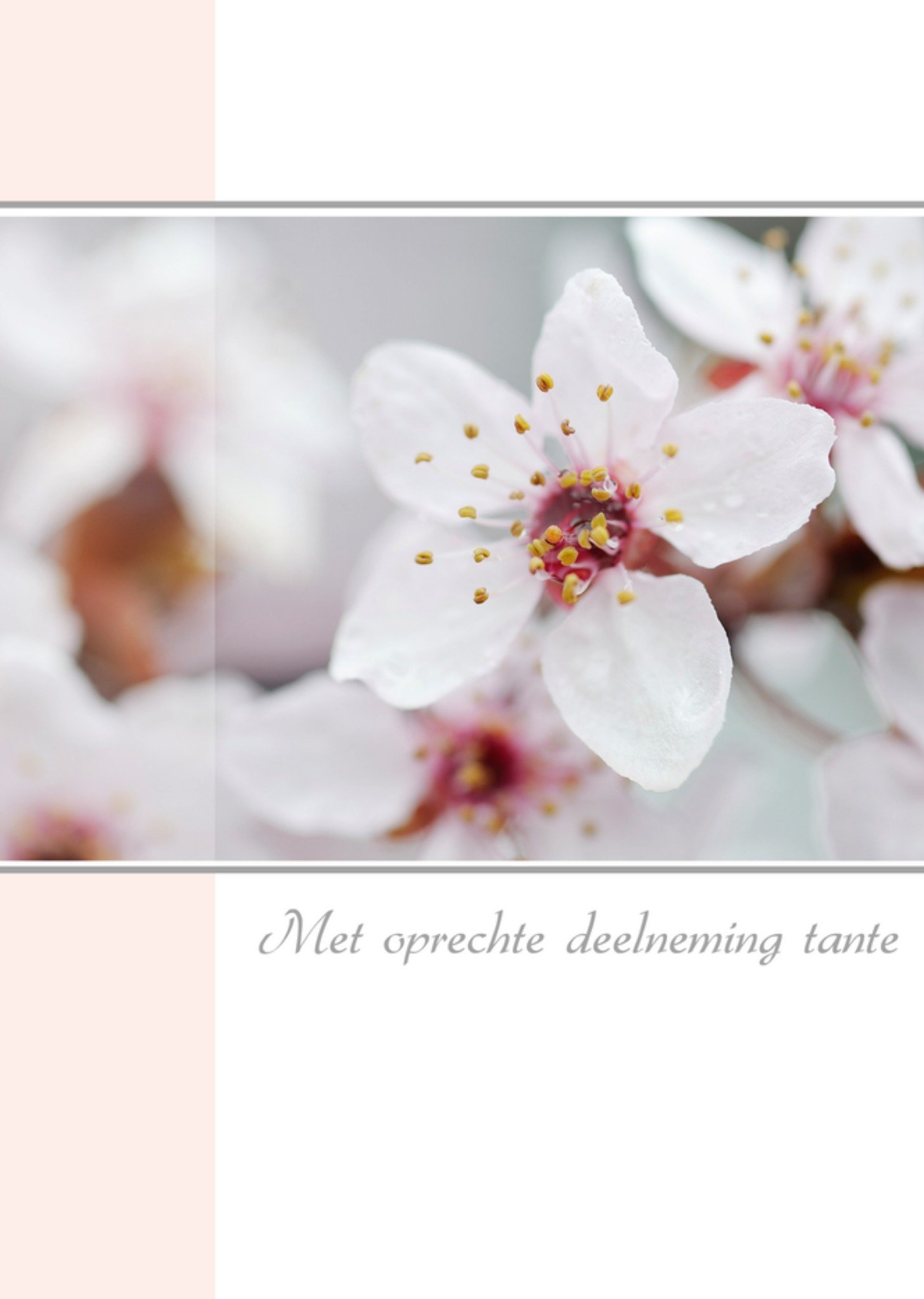 Condoleancekaart bloemen tante Kaart Paperclip