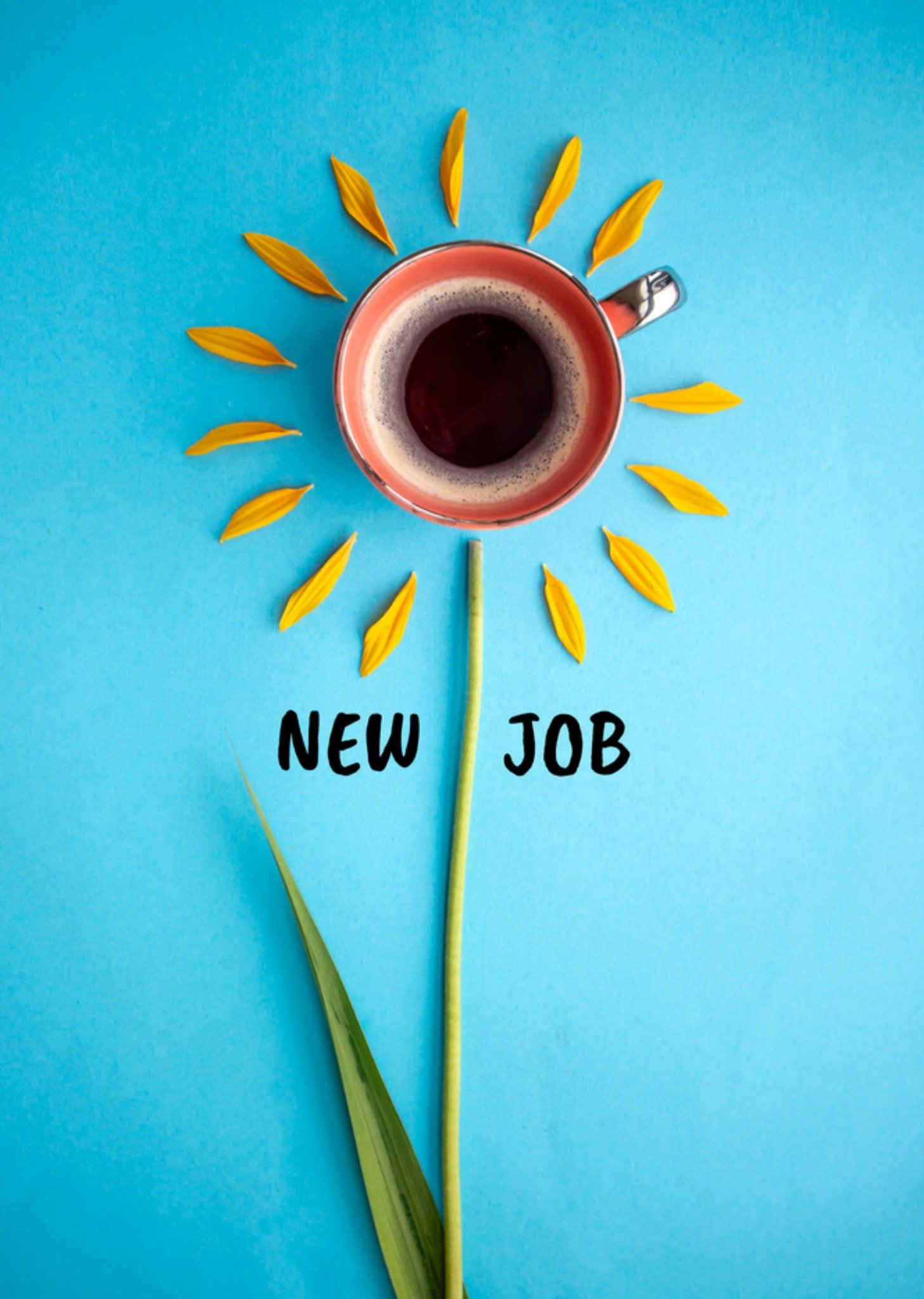 Nieuwe baan kaart Zonnebloem Koffie Kaart Photoflash