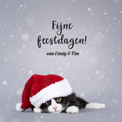 Foto Kat Met Kerstmuts Feestdagen Kaart