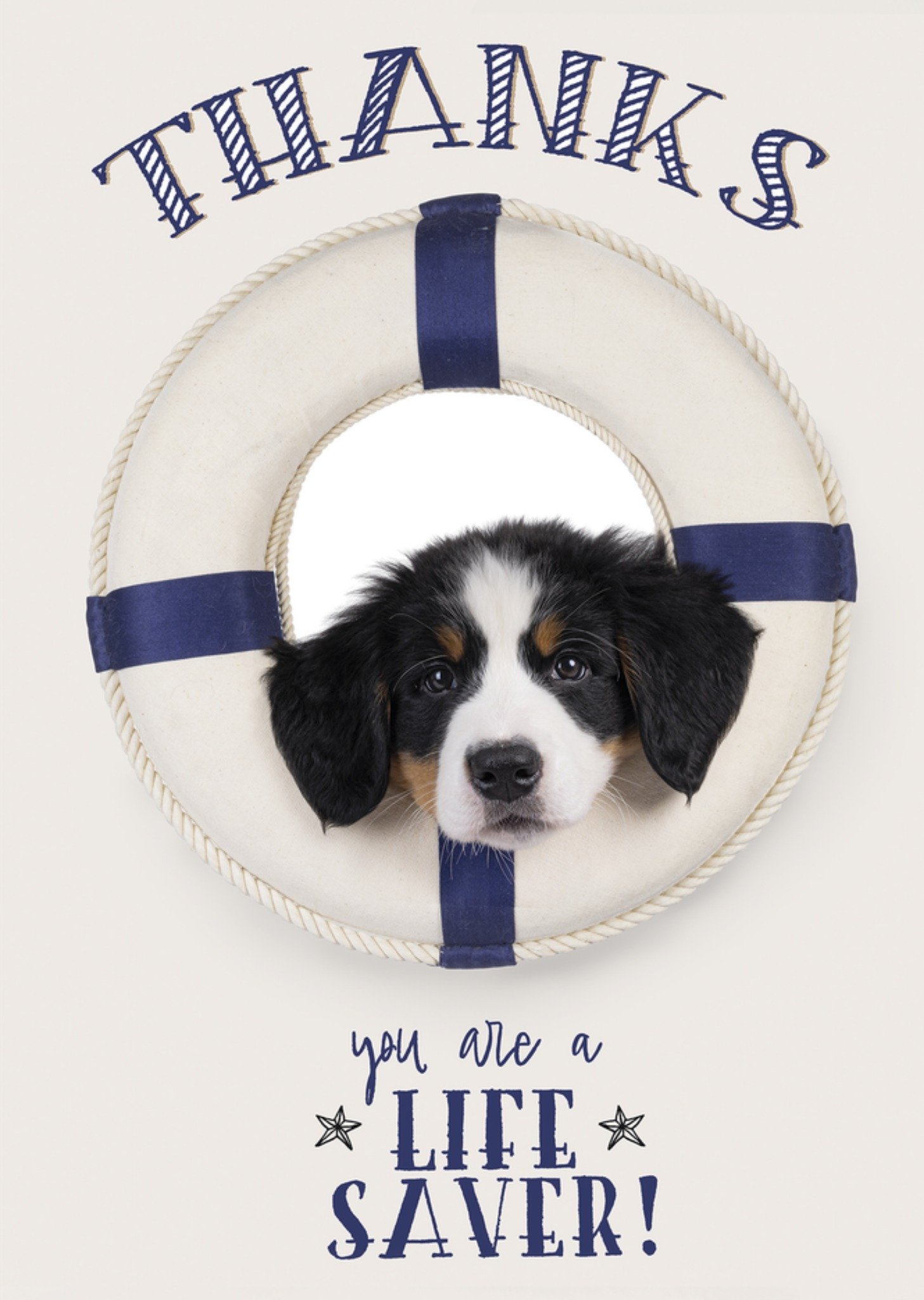 Bedanktkaart Thanks you are a life saver Catchy Images