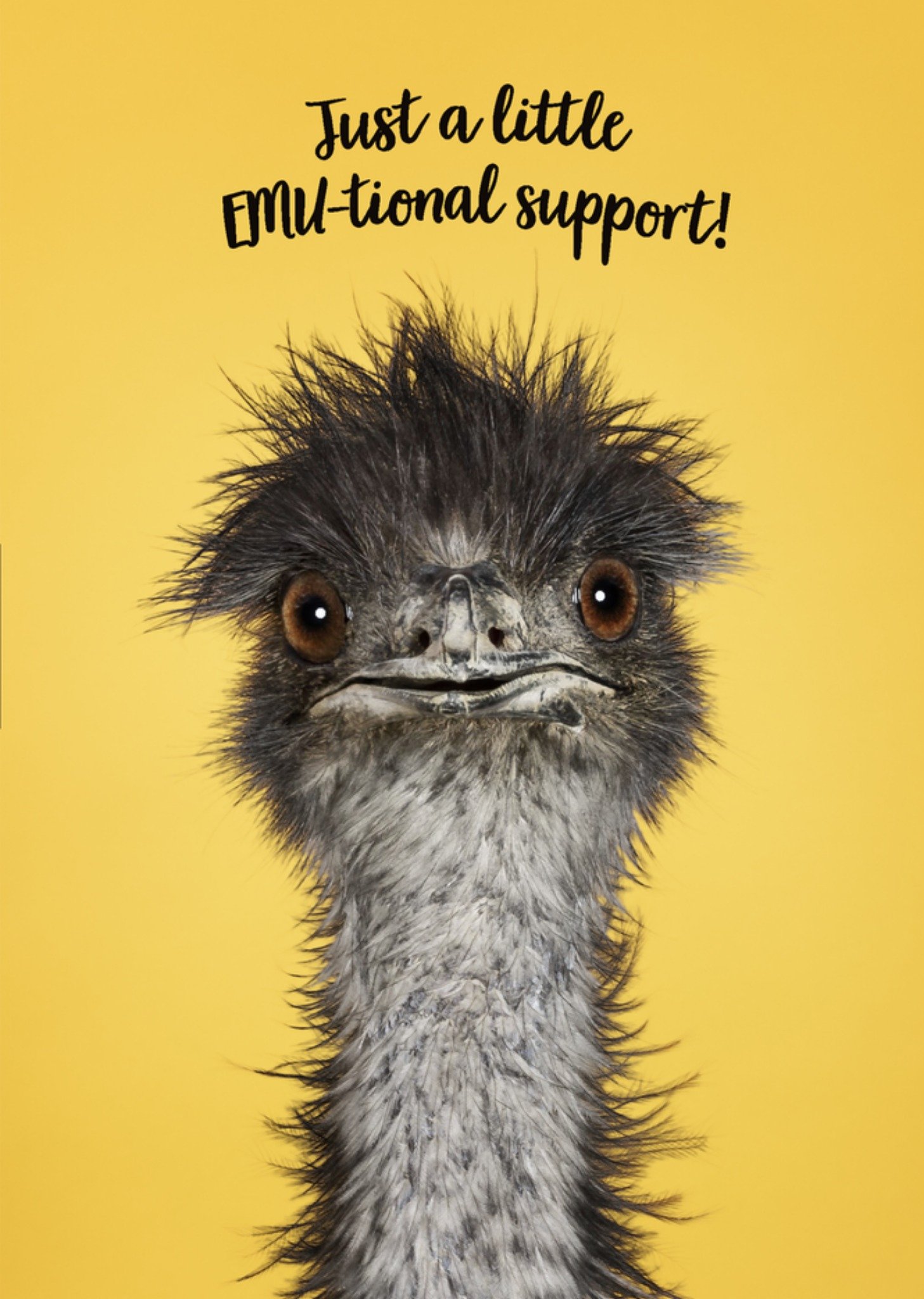 Catchy Images - Zomaar kaart - Emu-tional support