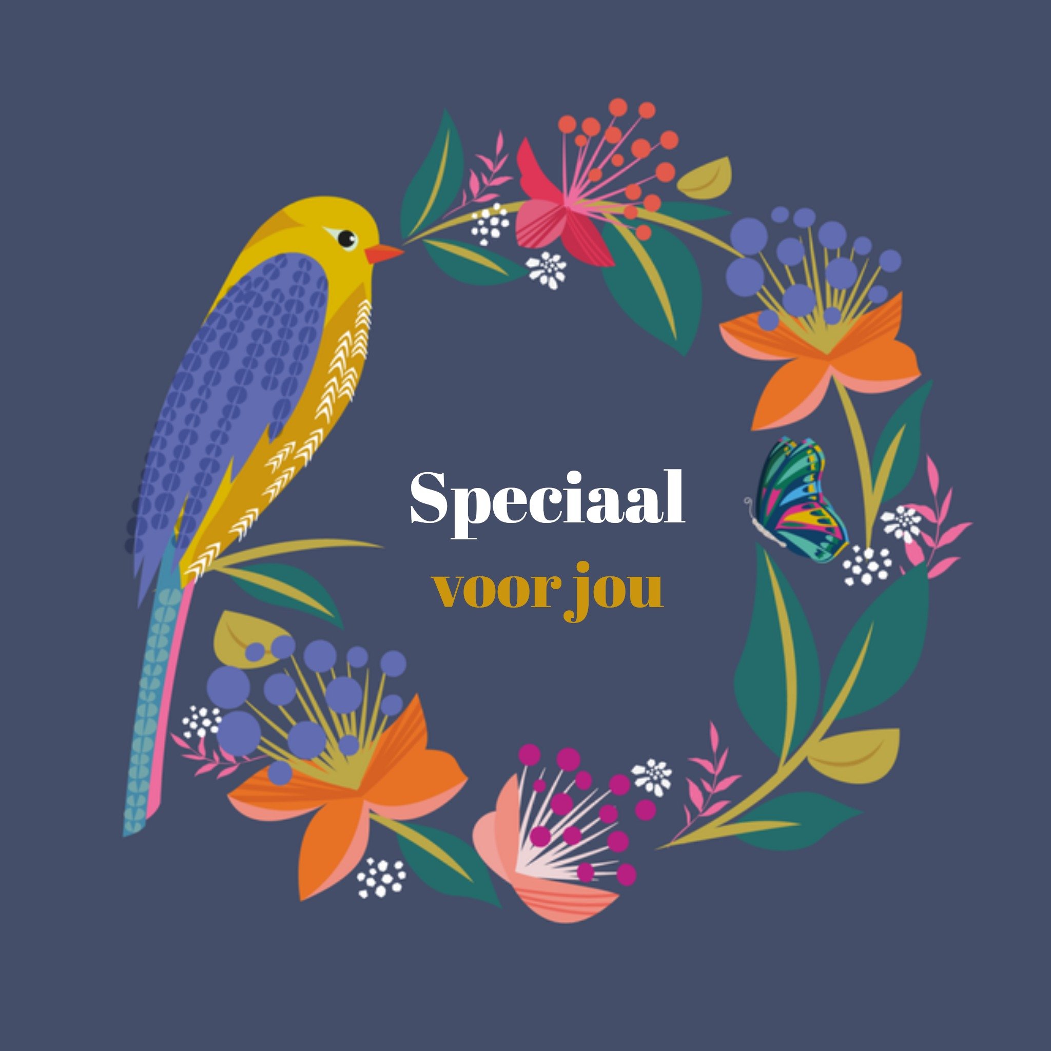 TMS Zomaar kaart illustratie Vierkant
