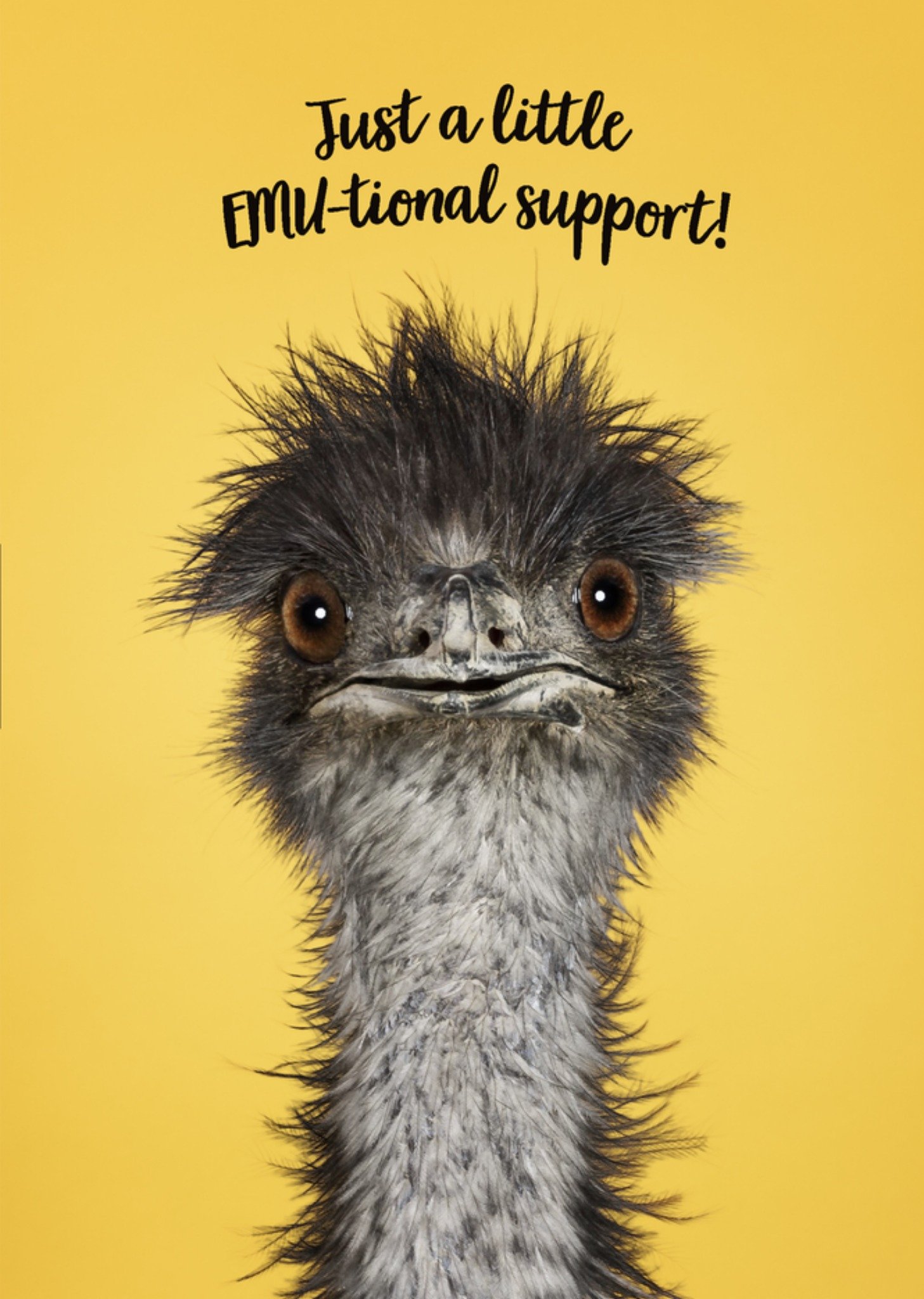 Zomaar kaart Emu-tional support Kaart Catchy Images
