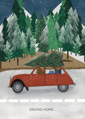 De Merkwaardige Studio | Kerstkaart | Driving home