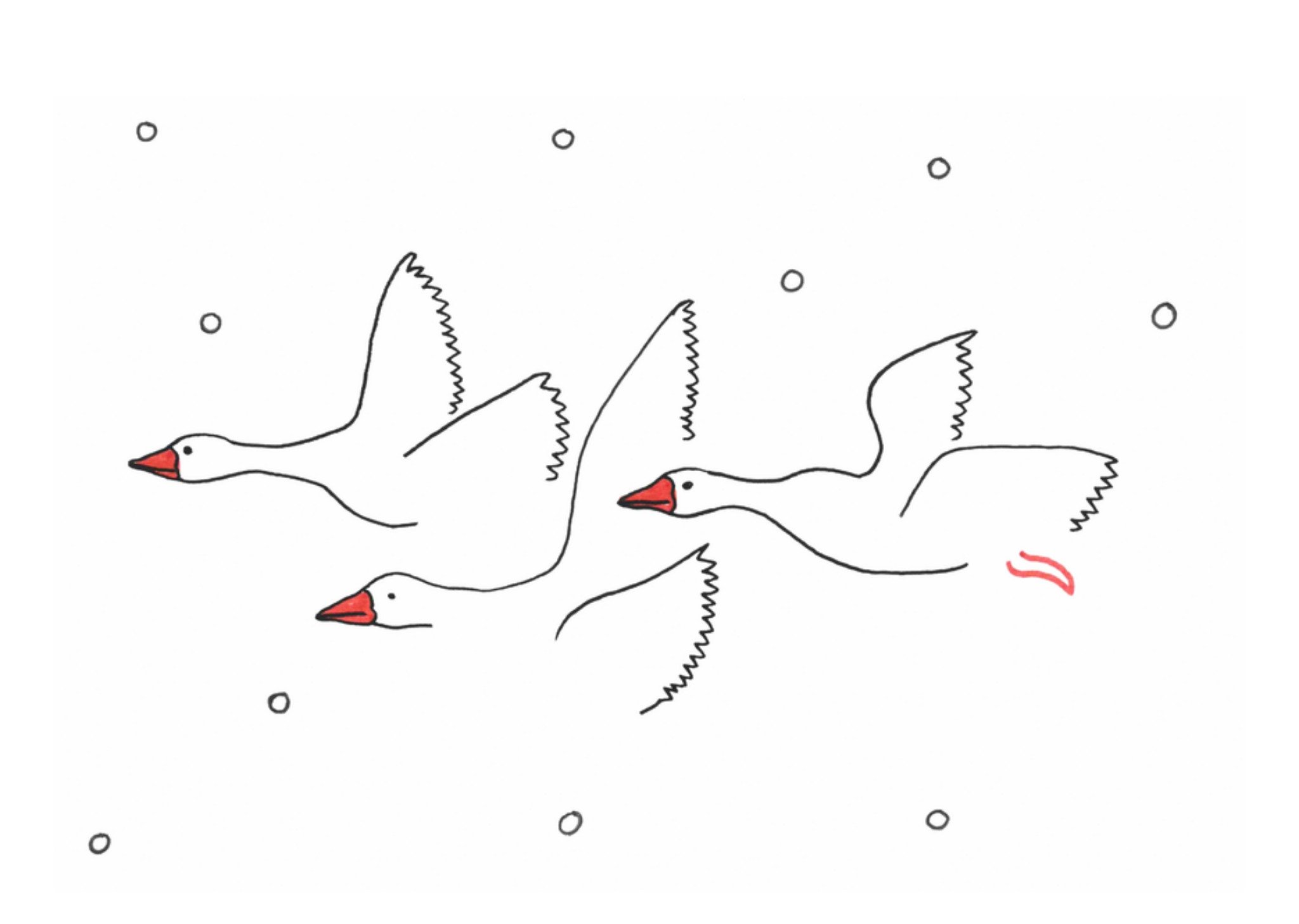 Condoleancekaart Ganzen Kaart Eva Gans