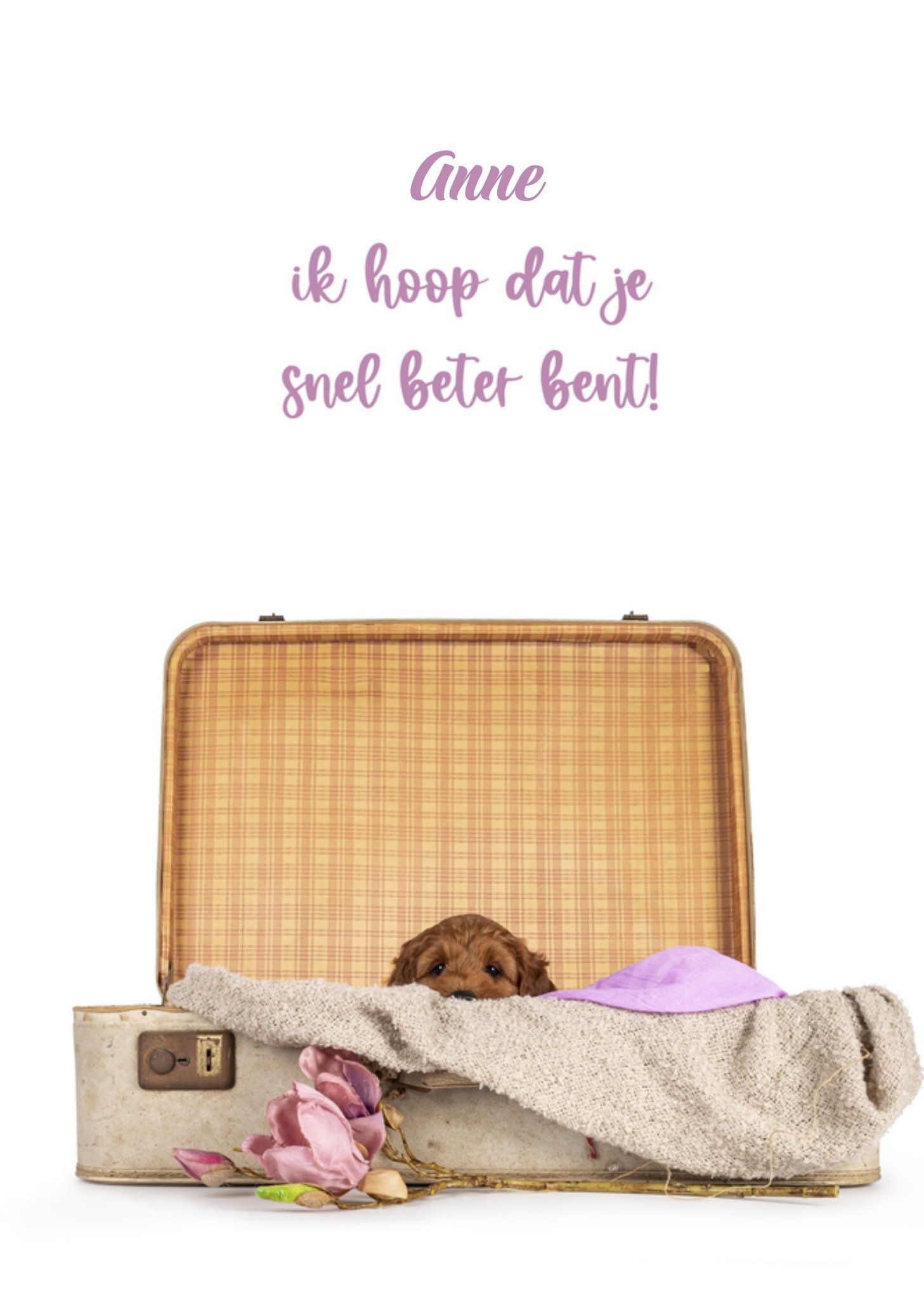 Beterschapkaart koffer hondje Kaart Catchy Images