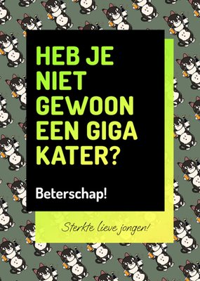 Love Repeat | Beterschapskaart | Kater