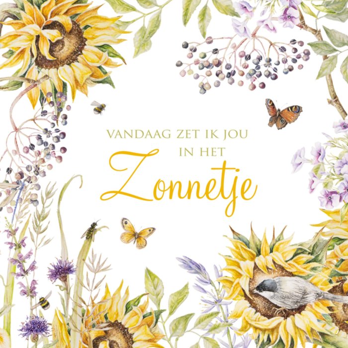 Janneke Brinkman | Denken aan kaart | zonnetje