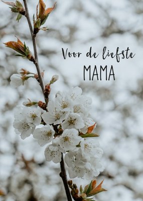 Greetz | Zomaarkaart | liefste mama | fotografie