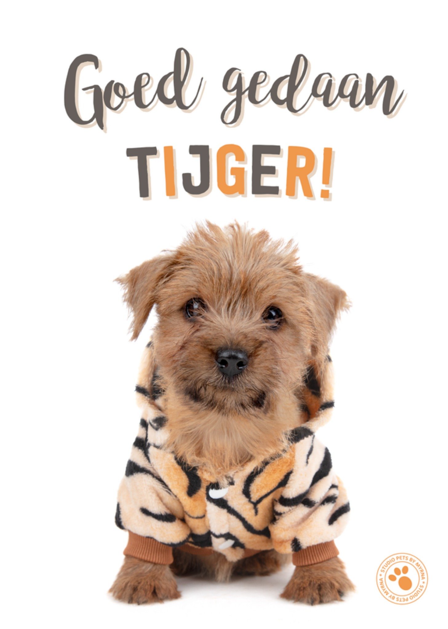 Studio Pets Geslaagdkaart Goed gedaan tijger Greetz