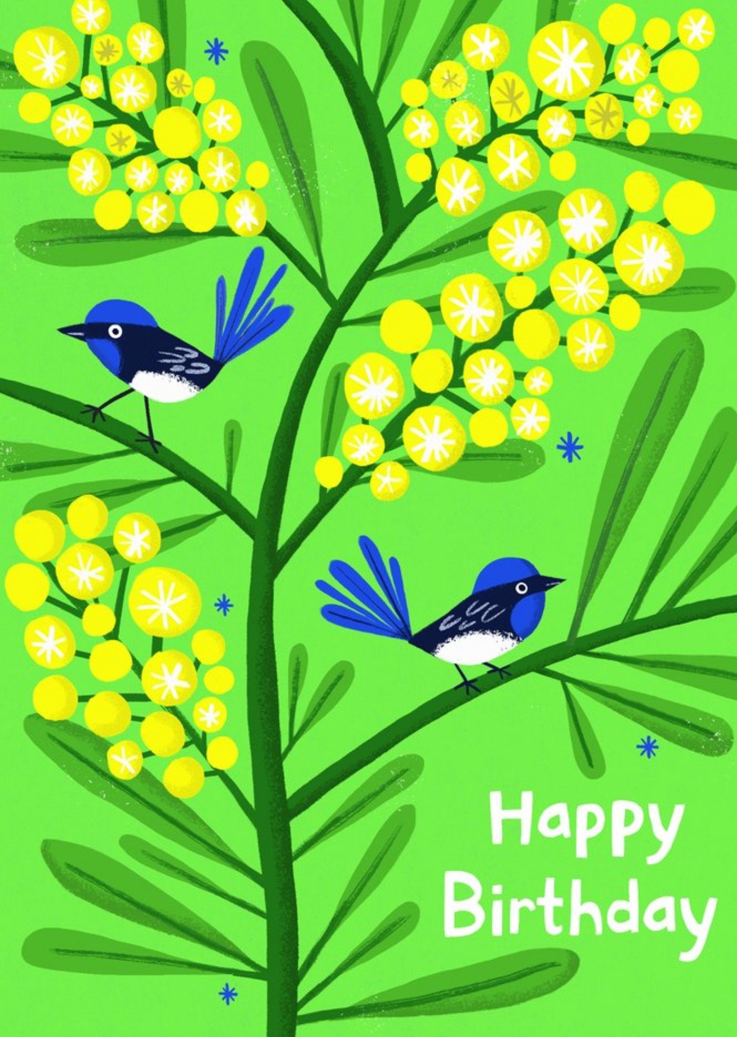 Verjaardagskaart Happy Birthday Vogels Greetz