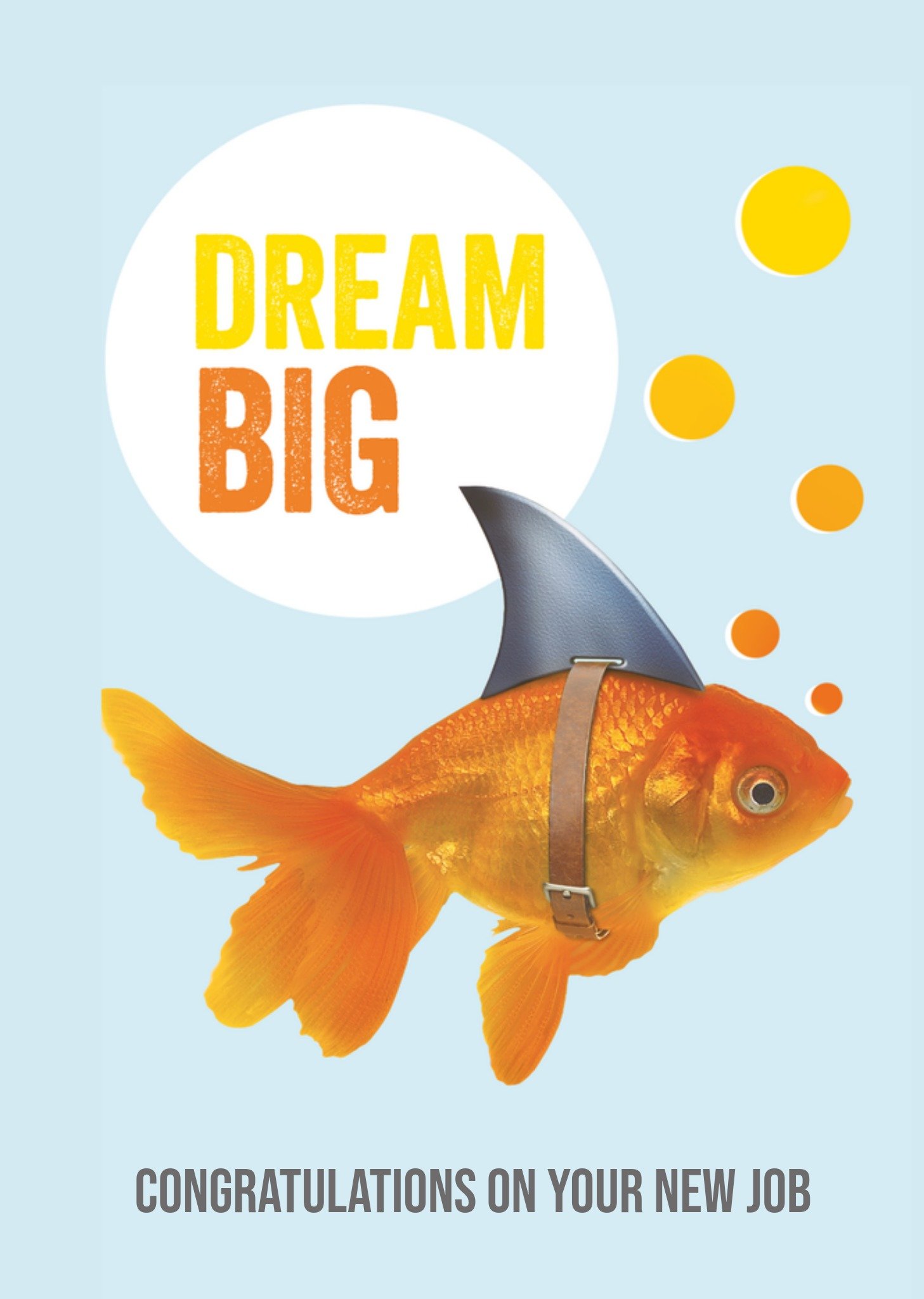 Nieuwe baan goudvis Kaart TMS