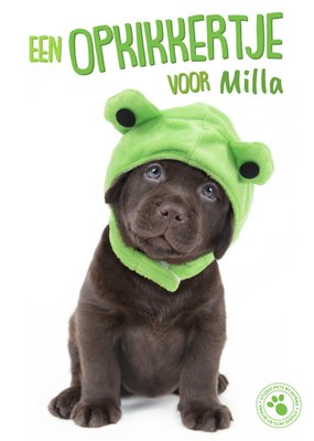 Studio Pets By Myrna Een Opkikkertje Puppy Met Kikkermuts Sterkte Kaart