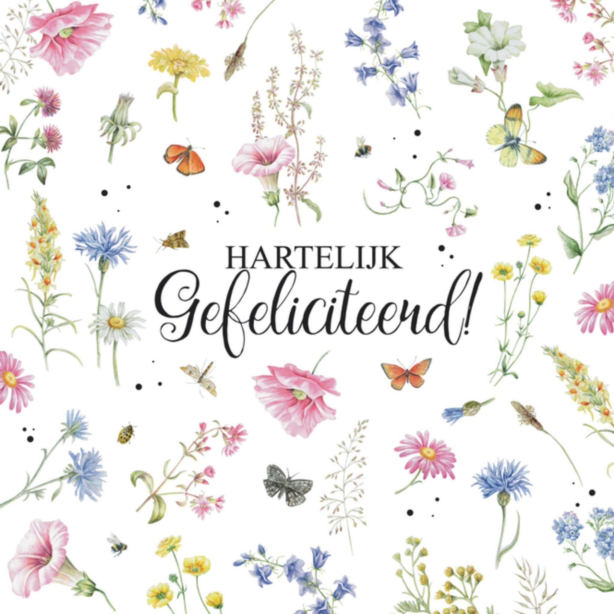 Verjaardagskaart Hartelijk Vierkante Kaart Janneke Brinkman