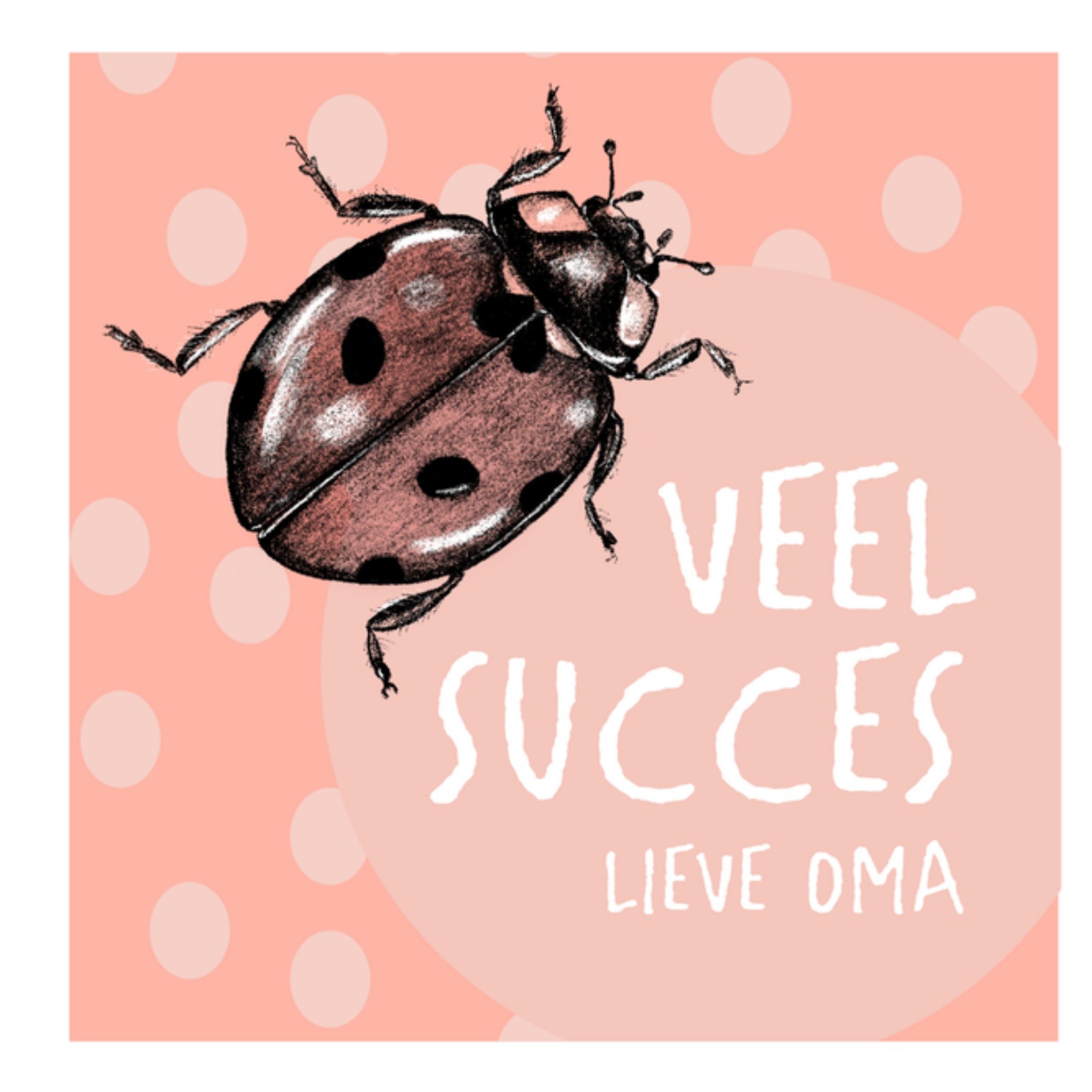 Greetz Succeskaart lieveheersbeestje Vierkant