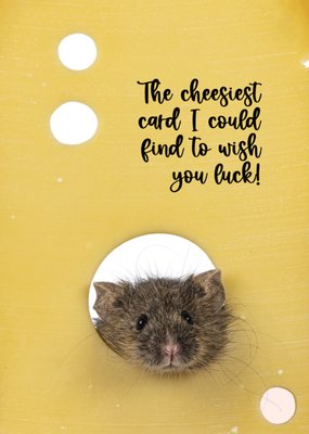 Catchy Images | Succeskaart | cheesey | oom