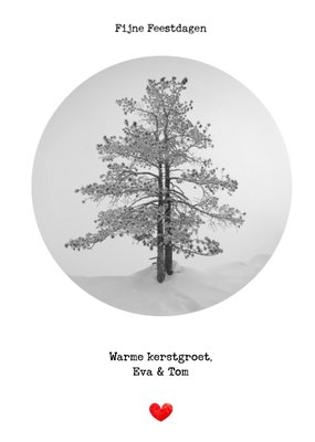 Bright Spot | Kerstkaart | Warme kerstgroetjes | Aanpasbare tekst