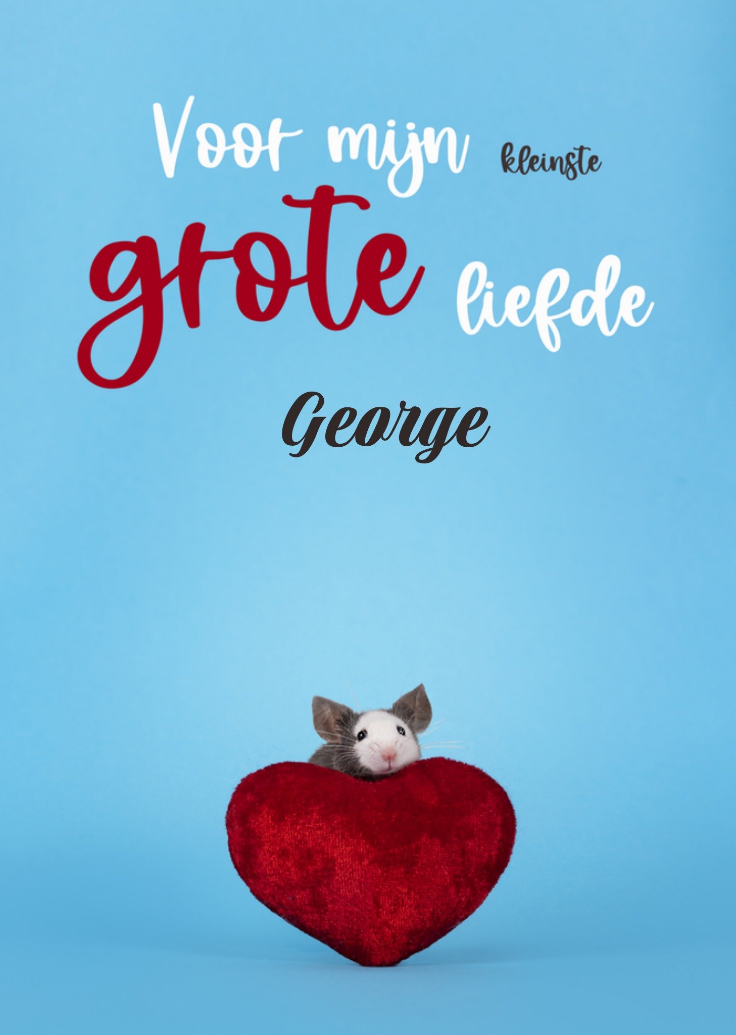 Valentijnskaart Kleinzoon Kaart Catchy Images