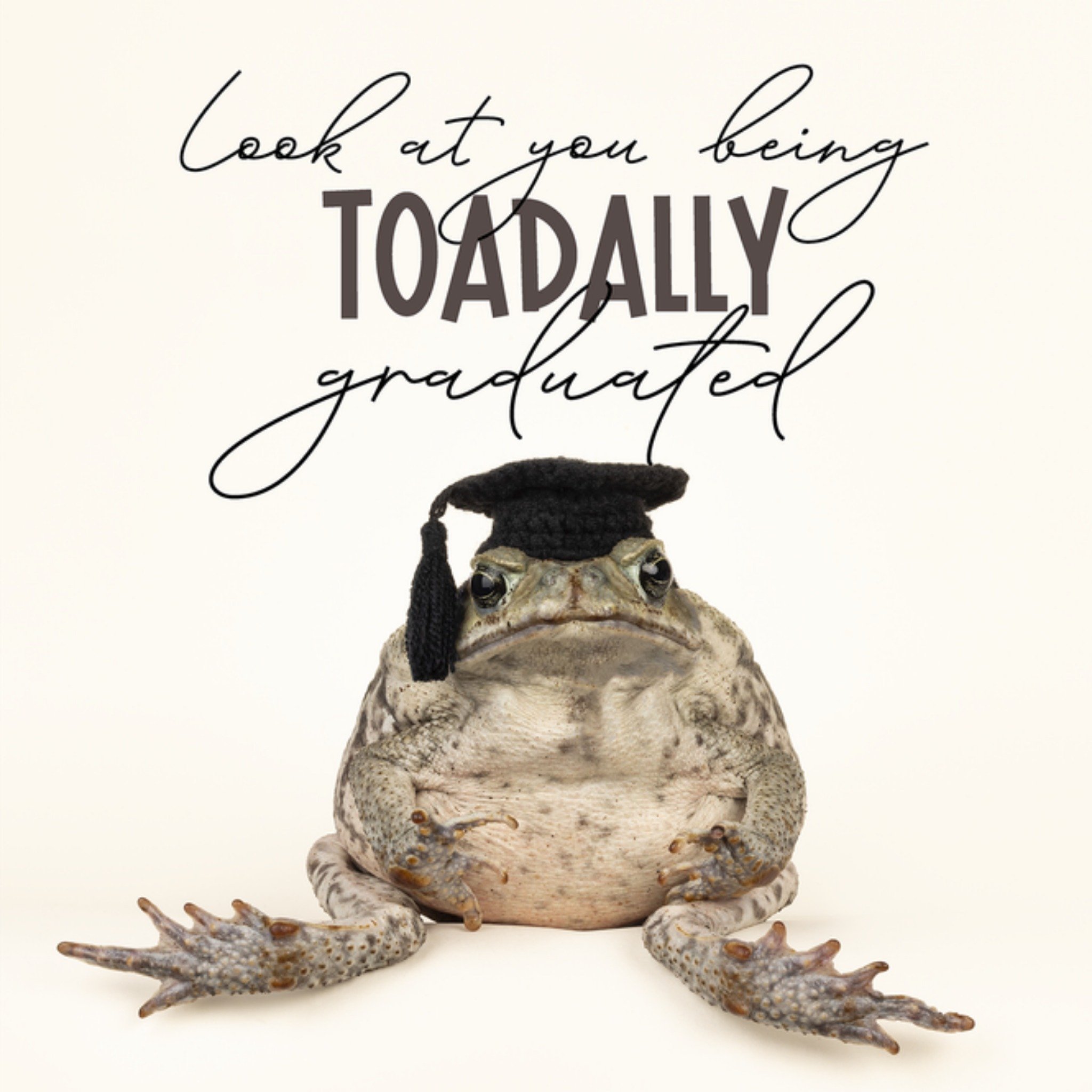 Geslaagdkaart Look at you being TOADALLY graduated Catchy Images