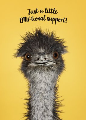 Catchy Images | Zomaar kaart | Emu-tional support
