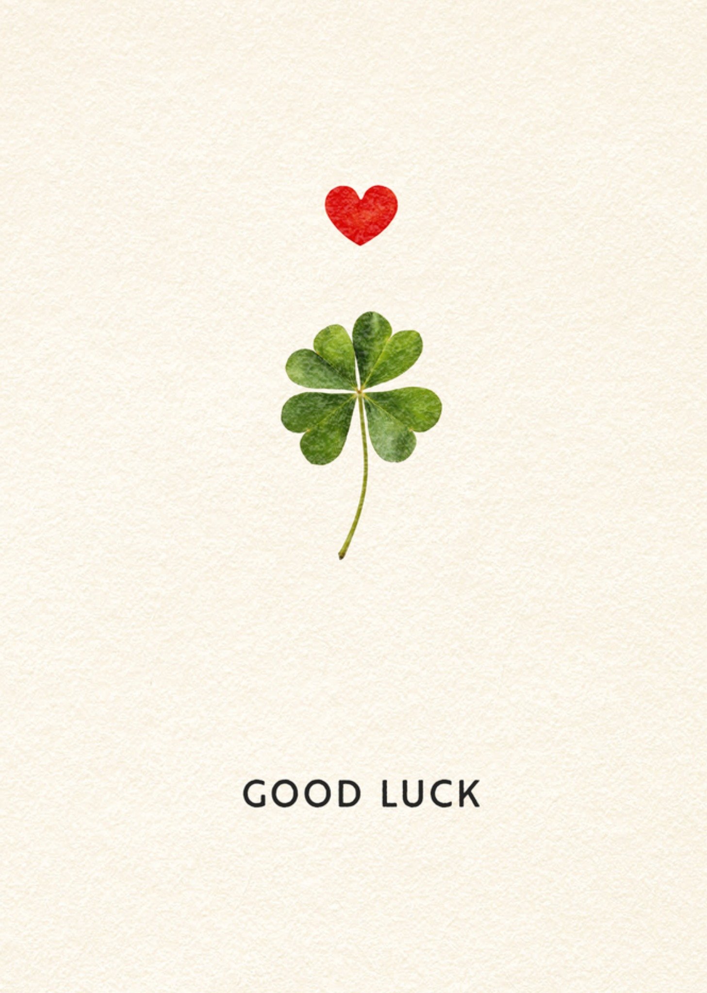 Bright Spot Geslaagdkaart Good Luck Klavertjevier illustratie Greetz