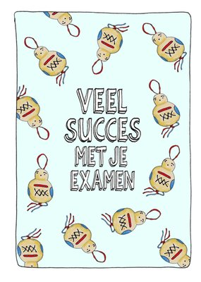 Sandysign | Geslaagdkaart | Veel secces met je examen