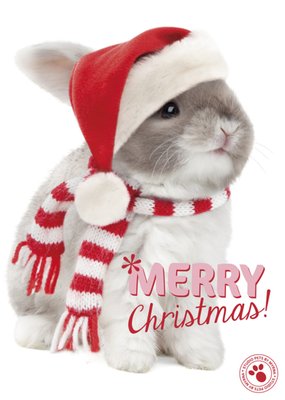 Studio Pets | Kerstkaart | konijn