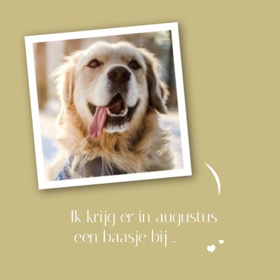 Ik Krijg Er In Augustus Een Baasje Bij Hond Foto Upload Zwangerschapsaankondiging Kaart