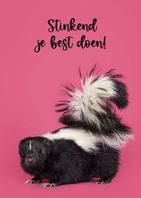 Catchy Images | Succeskaart | Stinkend | Roze