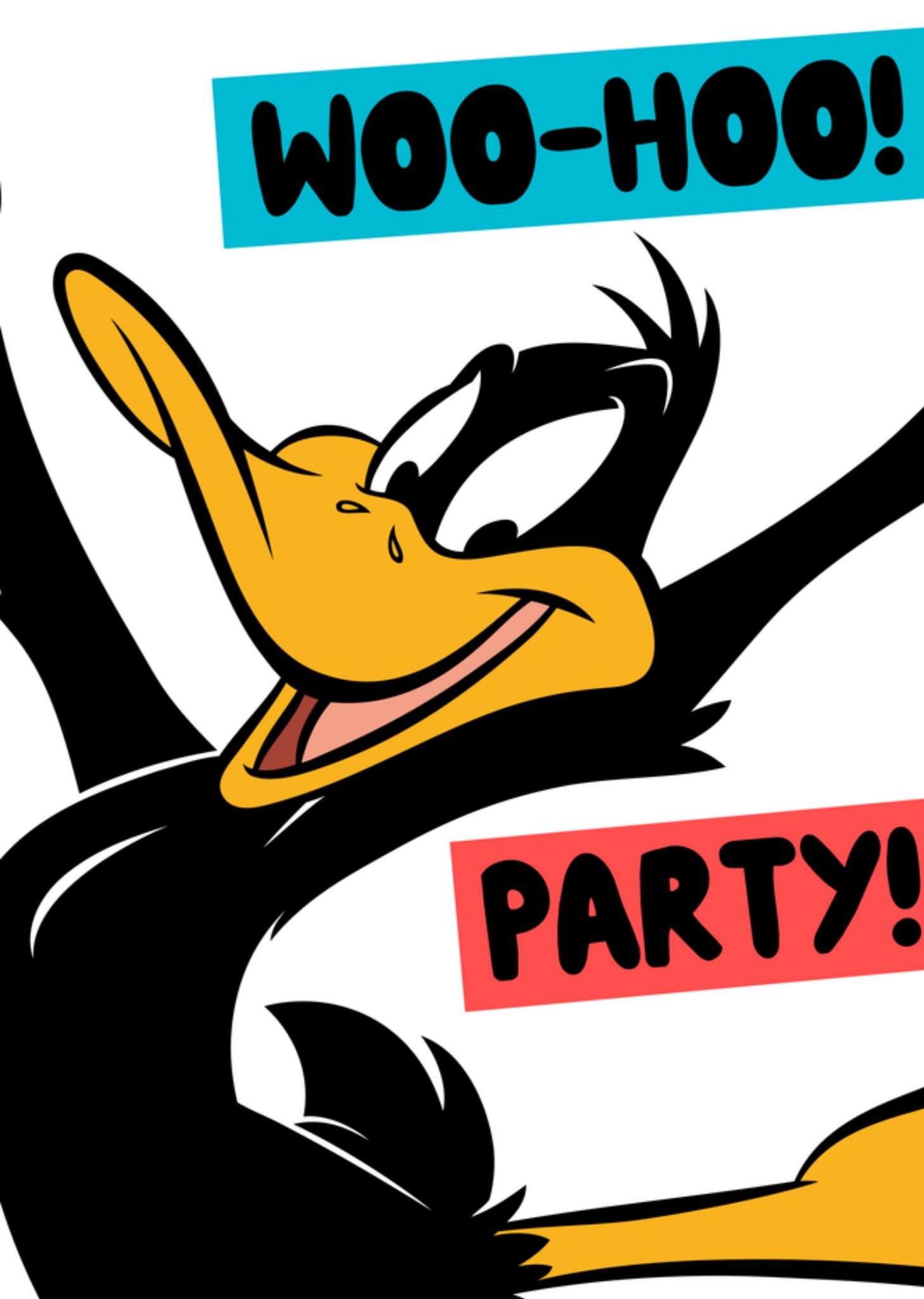 Warner Bros Verjaardagskaart Daffy Duck Kaart Looney Tunes