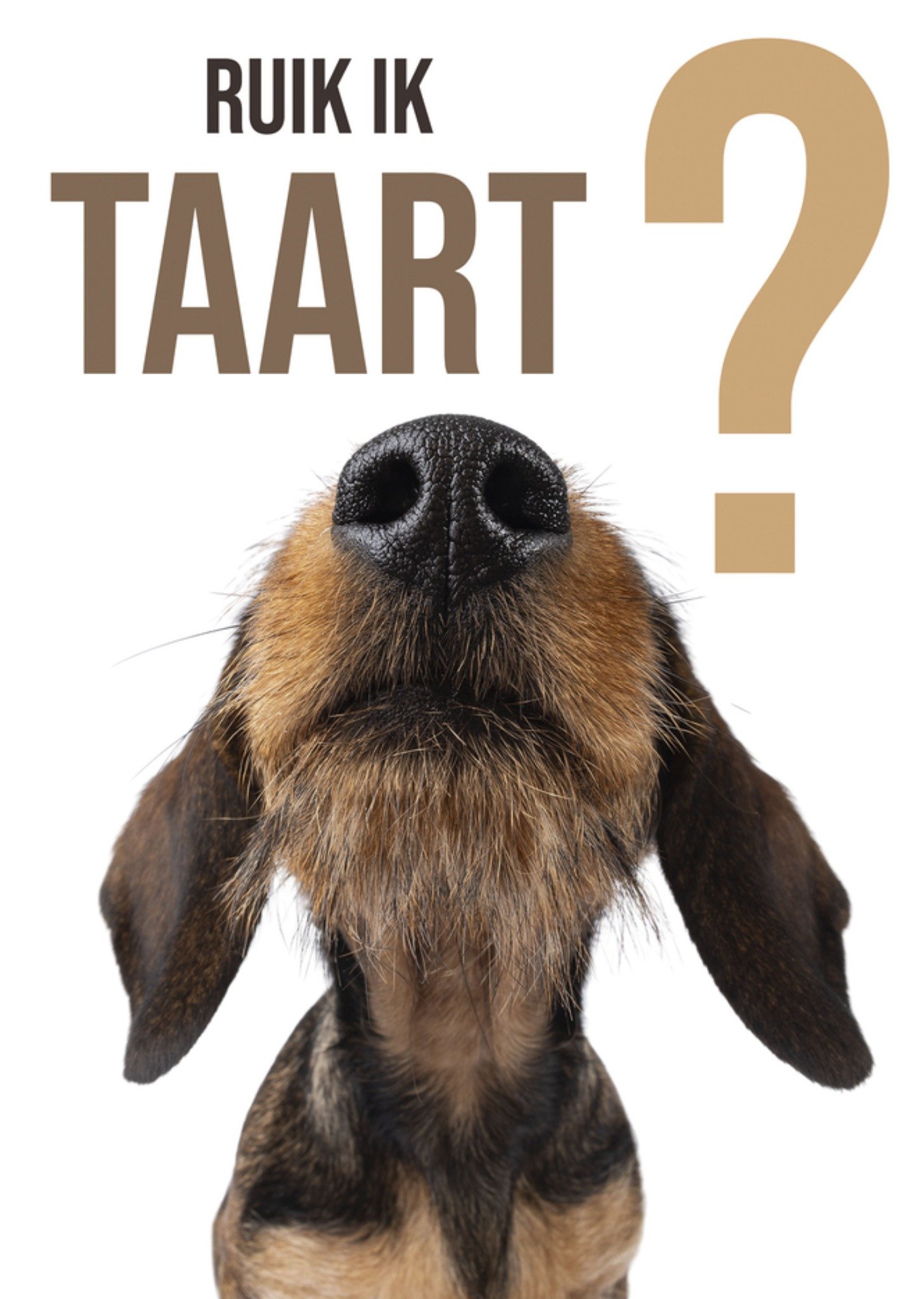 Verjaardagskaart ruik ik taart? Catchy Images