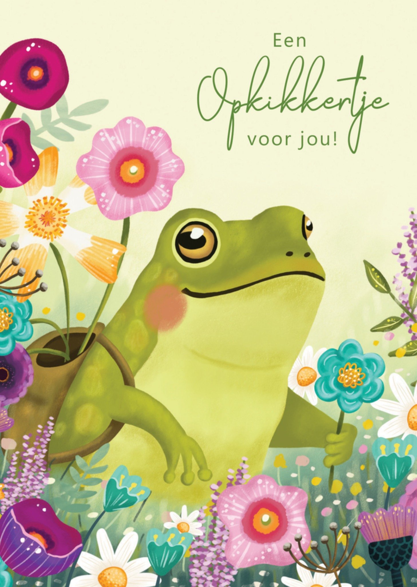 Aniet Illustration Beterschapskaart Een Opkikkertje Voor Jou Geïllustreerde Kikker Standard Card