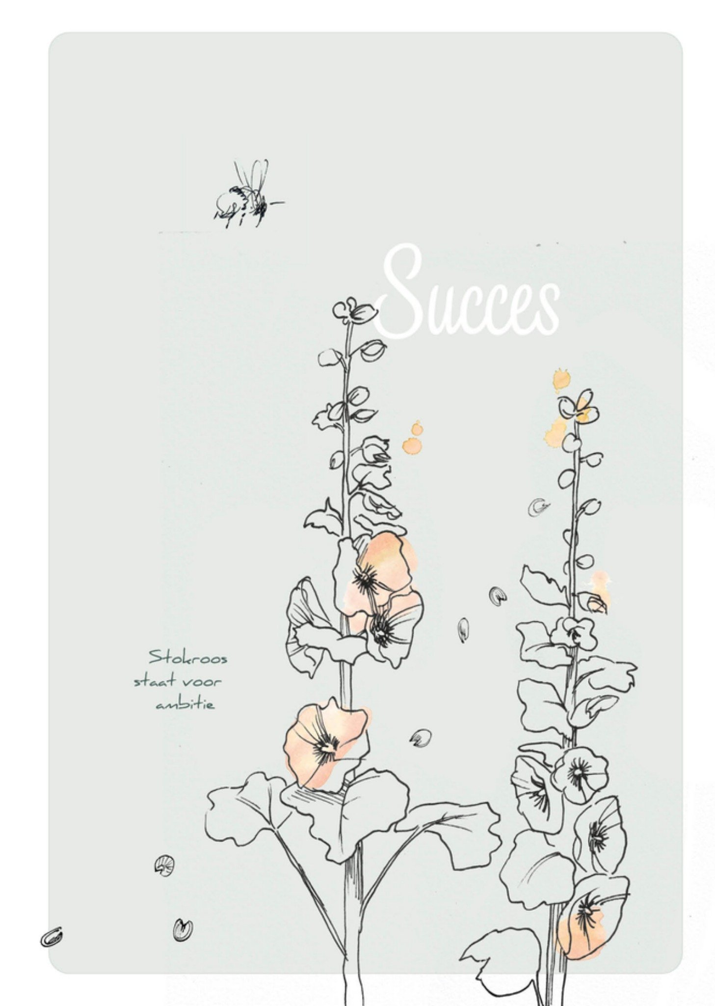 Succeskaart Stokroos voor ambitie Kaart Veer Moon