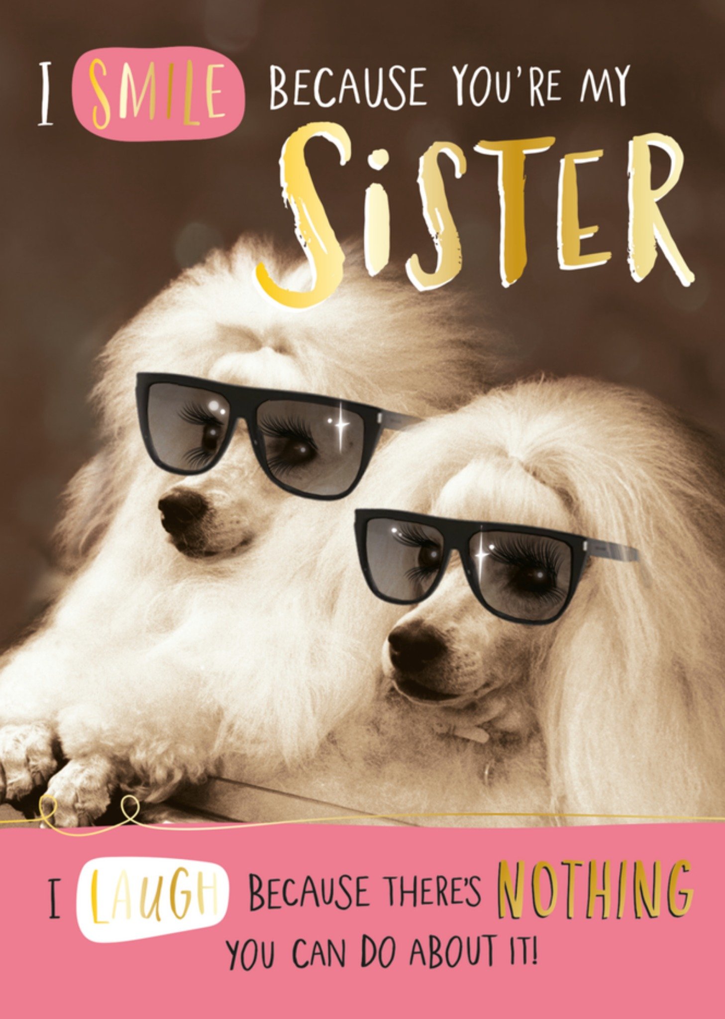 Verjaardagskaart poedel Kaart Pigment